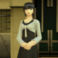 Thumbnail for version as of 19:24, 19 February 2026