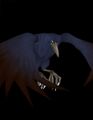 Thumbnail for version as of 08:35, 23 July 2024