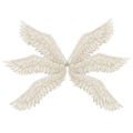 Thumbnail for version as of 08:04, 23 July 2024