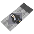 Thumbnail for version as of 08:10, 23 July 2024